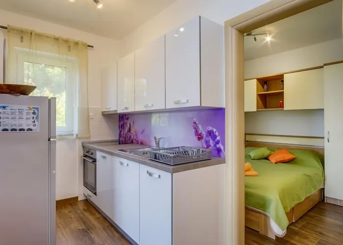 Magnolia - Lavanda By Interhome *