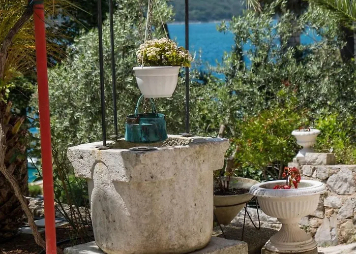 Magnolia - Lavanda By Interhome Apartment