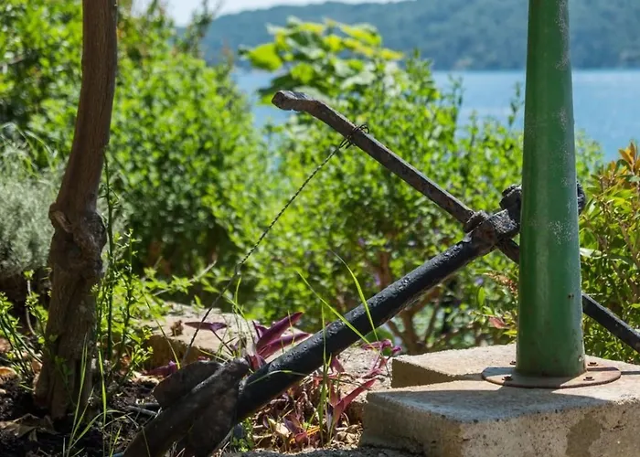 Magnolia - Lavanda By Interhome Apartment Mali Lošinj