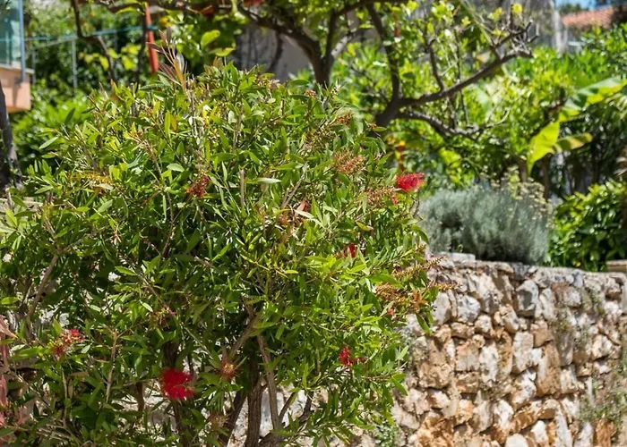 Apartment Magnolia - Lavanda By Interhome *