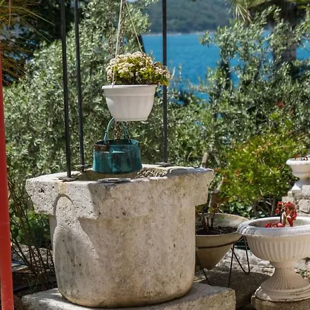 Magnolia - Lavanda By Interhome Daire